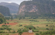 Pinar del Río: la tierra del mejor Tabaco
